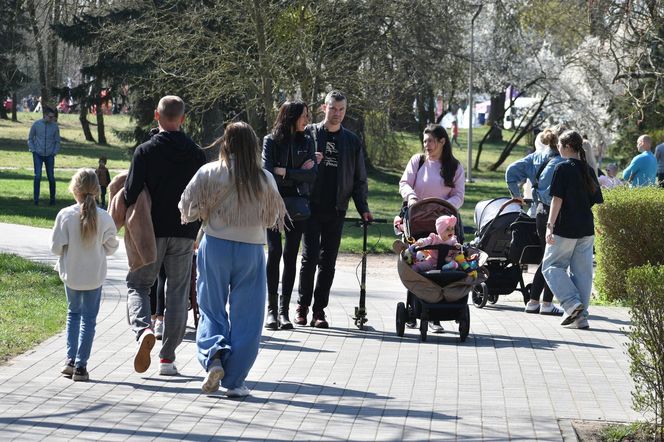 Miasto Piła