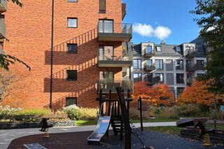 Kość niezgody ma kolor zielony. Dla jednych to drabina dla owadów, dla drugich - klucz do codziennego komfortu 