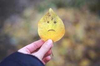 Choroba afektywna sezonowa (depresja sezonowa, SAD) - przyczyny, objawy, leczenie