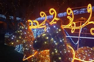 Świąteczne iluminacje na Zamku Książąt Pomorskich w Szczecinie