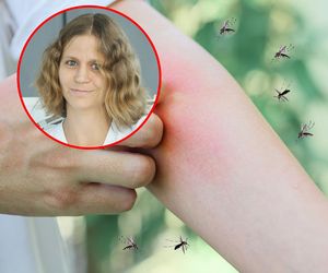 Plaga w Warszawie! Krwiożercze komary atakują, ale oprysków nie będzie