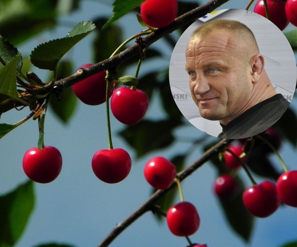 Wiśnie (2)