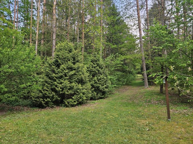 Kopna Góra