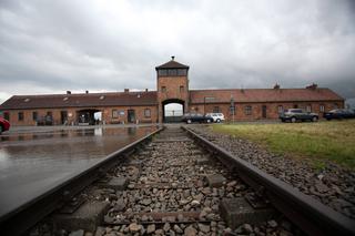 Niemcy w Auschwitz
