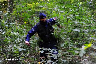 Gorzów: Weszli do lasu i nie mogli... wyjść. Na pomoc ruszyli policjanci!
