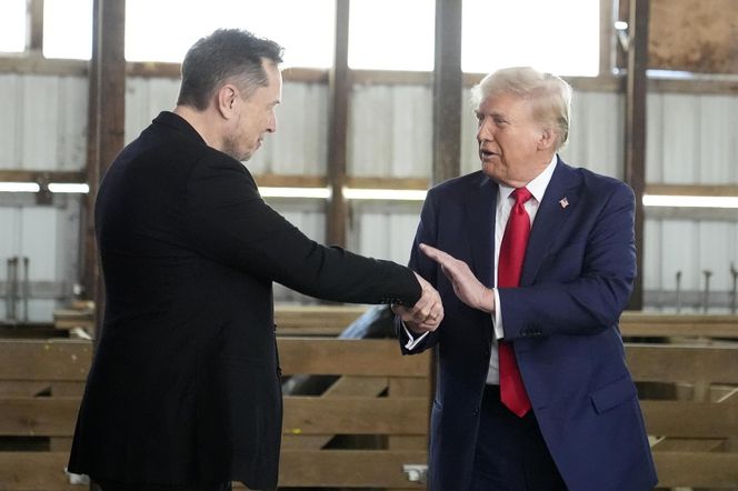 Elon Musk, Donald Trump