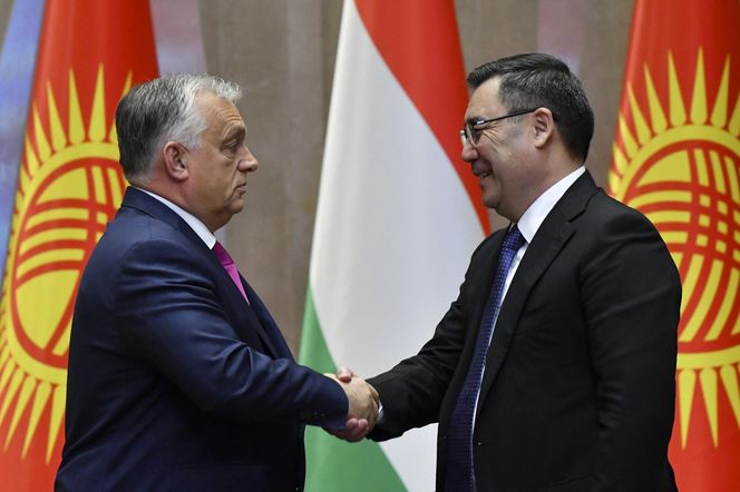 Orban dał azyl Romanowskiemu