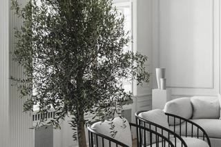 Modne, kultowe fotele