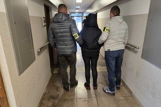 Policja rozbiła gang wyłudzający dotacje na szkoły