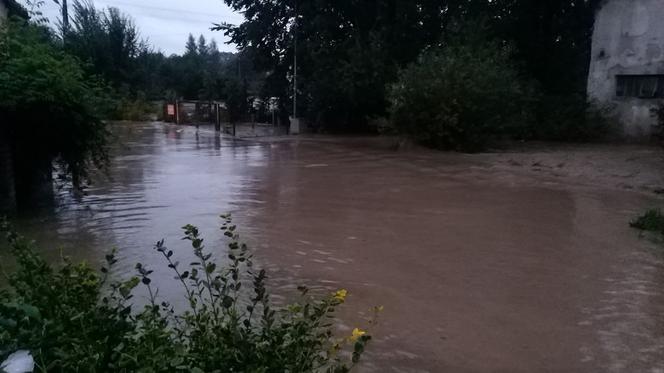 Zalany Morów