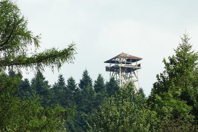 Nowa atrakcja turystyczna rośnie w Muszynie.  Wieża widokowa na Malniku prawie gotowa