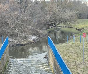 To lewy dopływ Wieprza. Bystrzyca jest największą rzeką przepływającą przez stolicę woj. lubelskiego!