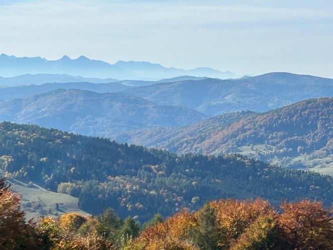 Małopolskie pasmo górskie zachwyca jesiennym pięknem. Ukryta perełka z widokiem na tatry 