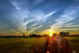 Piękno Podlasia [ZDJĘCIE DNIA]