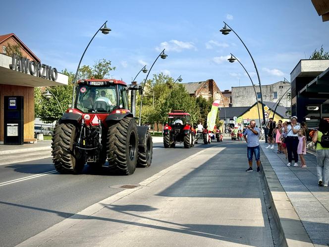 Dożynki miejskie w Jaworznie