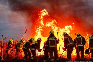 Wielki pożar w Biebrzańskim Parku Narodowym. Płonie ponad 80 ha trzcinowisk. W akcji samolot i śmigłowiec