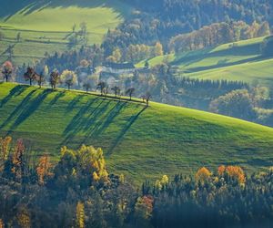 QUIZ. To najdziwniejsze słowa, jakie możesz usłyszeć na wsi. Wiesz, co znaczą? 