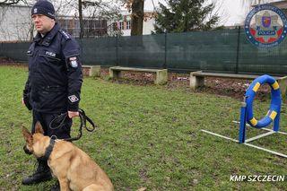 Nowe psy w zachodniopomorskiej policji