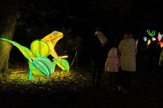 Garden of Lights we Wrocławiu