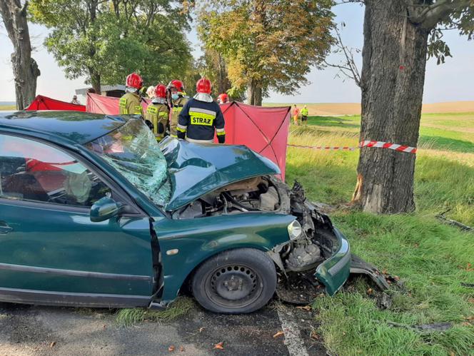 71-latek HUKNĄŁ passatem prosto w drzewo. Śmierć na drodze pod Piłą