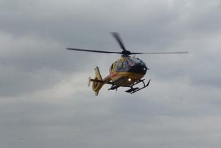 Mężczyzna przygnieciony przez drzewo