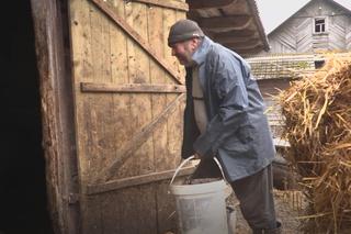 Rolnicy. Podlasie. Gienek i Andrzej karmią krowy. Sławek: Widać jaki tu porządek