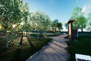 Powstać ma ogórd sensoryczny i średniowieczny sad.  Cztery firmy są zainteresowane rewitalizacją terenu na Piotrówce