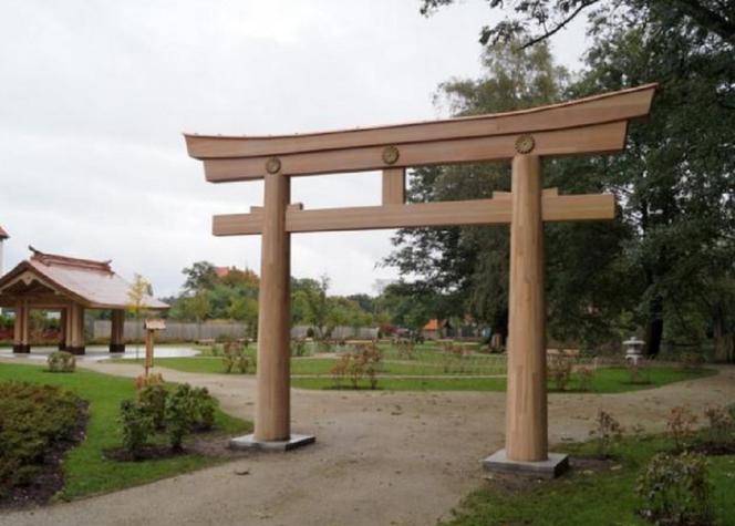 Ogród japoński w Parku Oliwskim jeszcze bardziej japoński