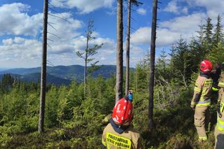 Paralotniarz zawisł 8 metrów nad ziemią. Pilna akcja ratunkowa w Szczyrku