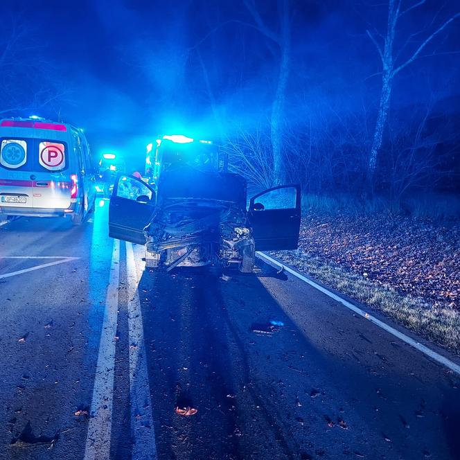 Przerażające zdjęcia z miejsca wypadku w pow. opolskim. Auto całkowicie zniszczyło przystanek