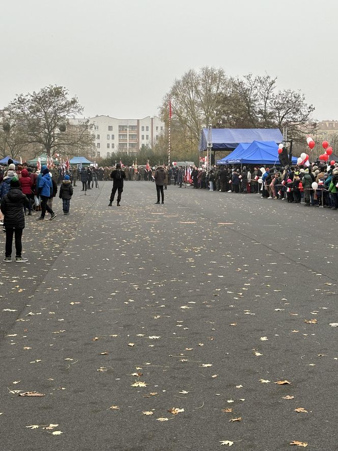 Wojewódzkie obchody Narodowego Święta Niepodległości w Poznaniu