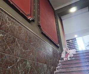 Renowacja kamienicy przy ul. Cybulskiego 19, Wrocław