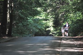 Dojazd na Święty Krzyż