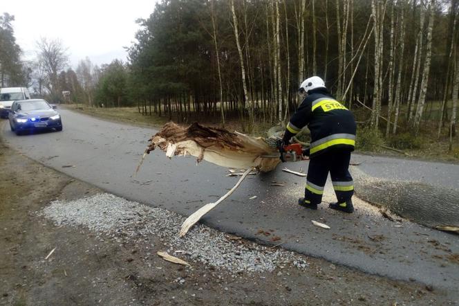 Konar drzewa spadł na ciężarówkę