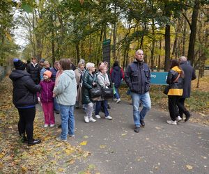 Tłumy na cmentarzu na Miłostowie