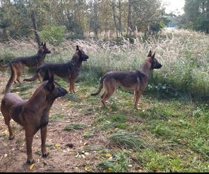 Dobry, serdeczny. Puławy pogrążone w żałobie. W poniedziałek pogrzeb pana Marcina, którego zagryzły psy