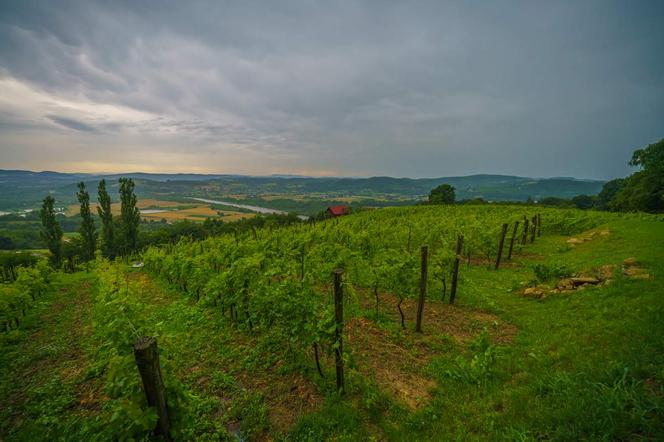 Piknik z muzyką w Janowicach. Uroczy wieczór w Uroczysku z widokiem na dolinę Dunajca