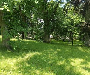 Parki podworskie w powiecie gdańskim