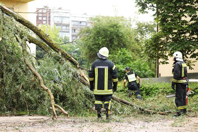 Wracają burze i wichury. Wiemy, kiedy to się stanie. Nie odpoczniemy długo od niebezpiecznej pogody