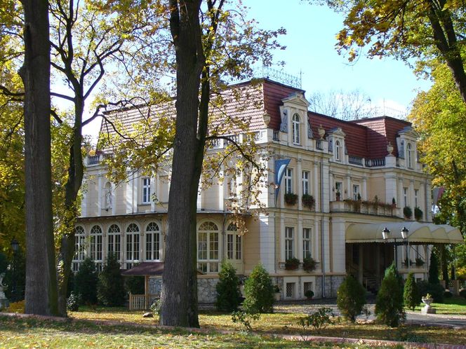 Pałac w Niewodnikach