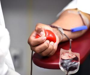 Krwiodawcy chętnie oddają krew i jej składniki. Pokazują to statystyki RCKiK w Kaliszu za 2023 rok