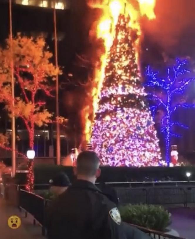 Choinka rozbłysła żywym ogniem