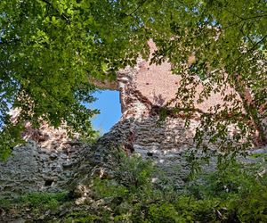 W tej wsi w woj. lubelskim był kiedyś zamek. Ruiny są ukryte głęboko w lesie