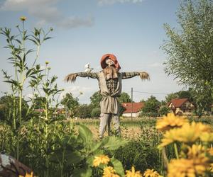 Urlop śladem Wisły. Co zwiedzić, gdzie pojechać? Idealny pomysł na tematyczną wycieczkę po Polsce