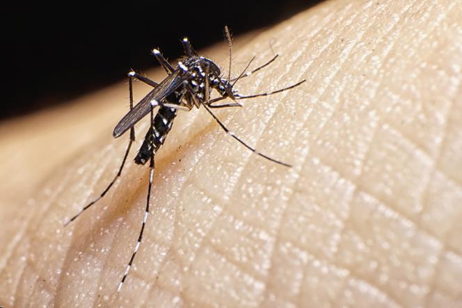 MALARIA - jak jej zapobiec
