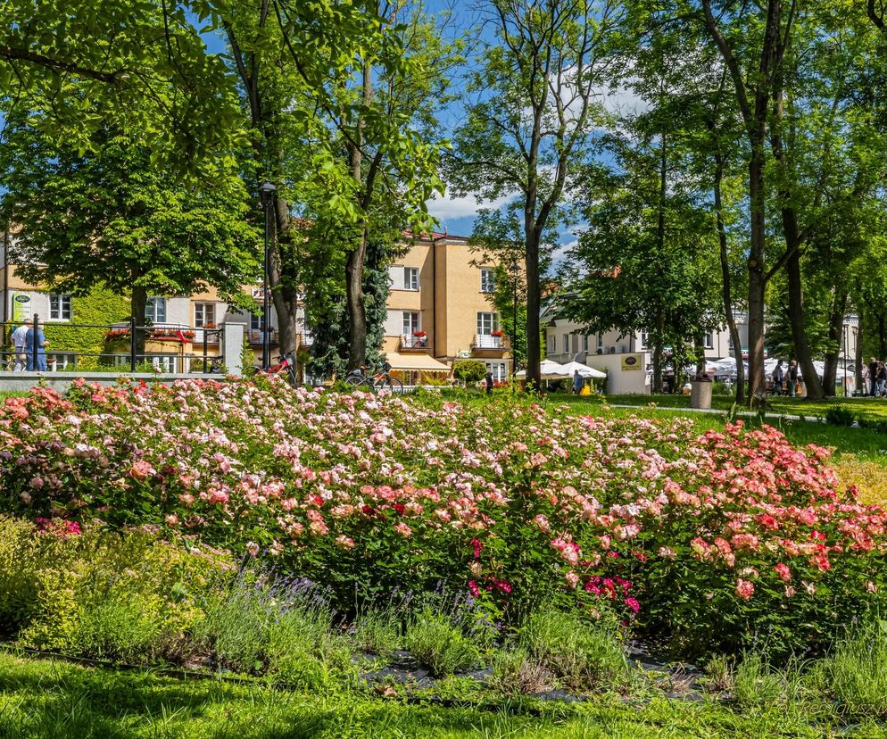 Świętokrzyskie. Busko-Zdrój