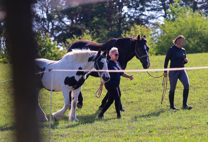 Kluzik gotowa na polityczny galop