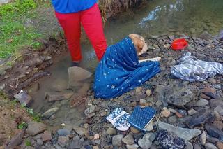 Krosna. Psiakowi groziła straszna śmierć. Uratowali go strażacy. Wzruszające zdjęcia