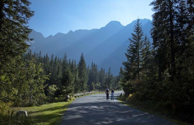 tatry, góry