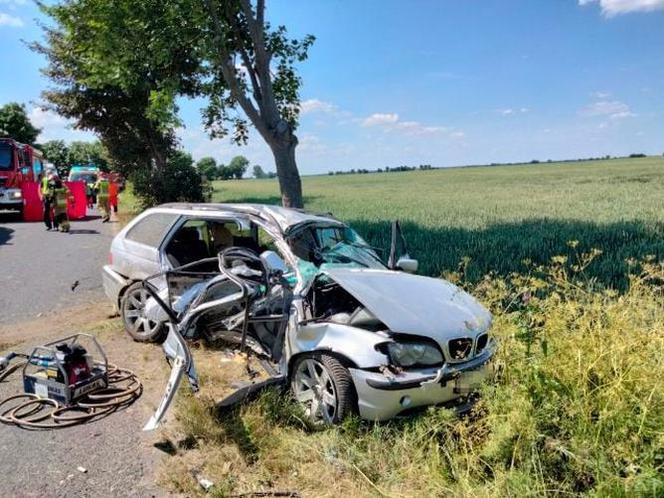 Nie żyje pasażer bmw, a kierowca walczy o życie! Auto roztrzaskało się o drzewo pod Działdowem [ZDJĘCIA]